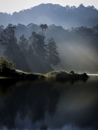 Scenic view of lake by trees against sky