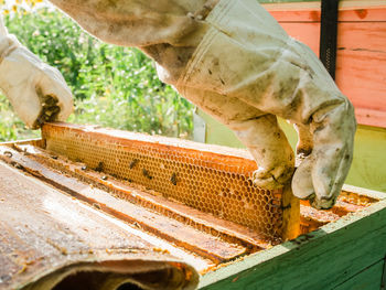 Midsection of man working at farm