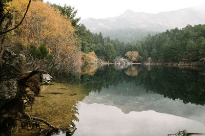 Scenic view of lake by trees against mountains during foggy weather