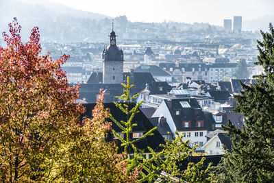 High angle view of trees and buildings in city