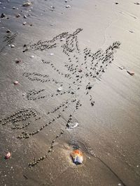 High angle view of garbage on beach