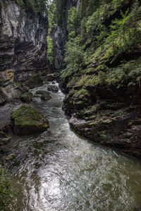 Stream flowing through rocks in forest