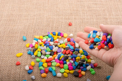 Close-up of hand holding multi colored candies