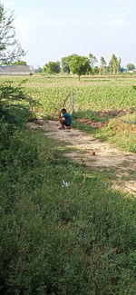 Man sitting on field by tree against sky