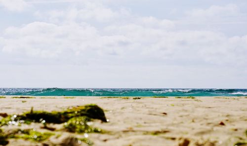 Scenic view of beach against sky