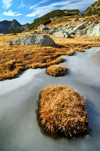 Scenic view of river and mountains