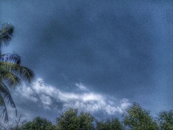 Low angle view of trees against sky