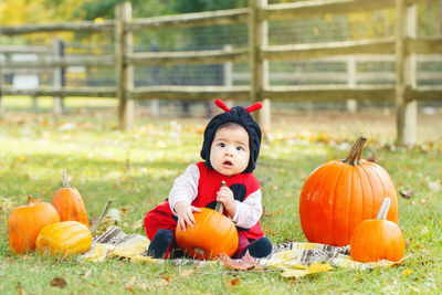 Cute baby girl playing with pumpkins while sitting on land