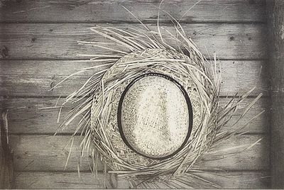 Full frame shot of wooden wall