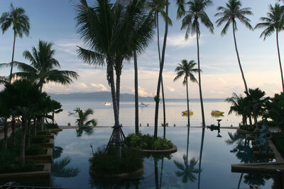 Palm trees by swimming pool against sky