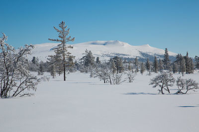 Scenic view of snowcapped mountains against clear blue sky