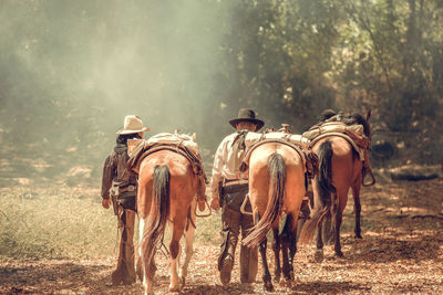 Rear view of horse on field