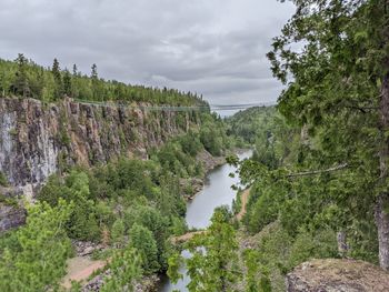 Scenic view of river amidst trees against sky