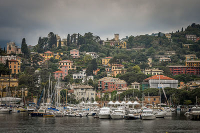 Sailboats moored in harbor by city against sky