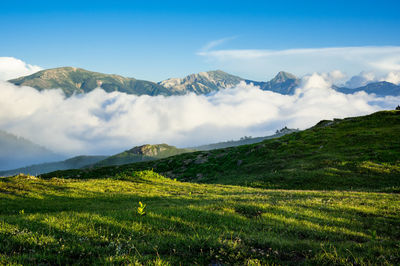 Scenic view of field against sky