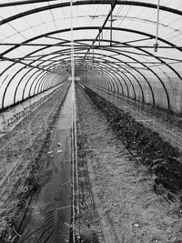 Railroad tracks in greenhouse against sky
