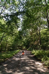 Preschool caucasian girl rare view in forest with green leaves trees hiking on a trail