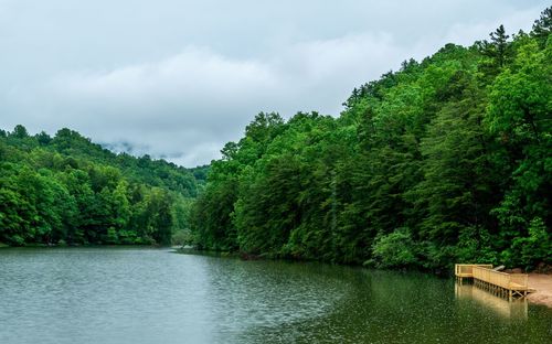 Scenic view of river amidst trees in forest against sky