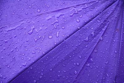 Full frame shot of wet leaf during rainy season