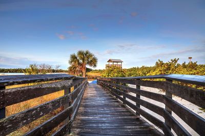 Boardwalk amidst plants against sky