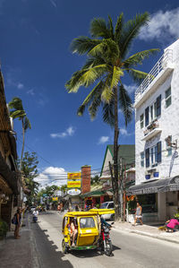 Cars on road by palm trees and buildings in city against sky