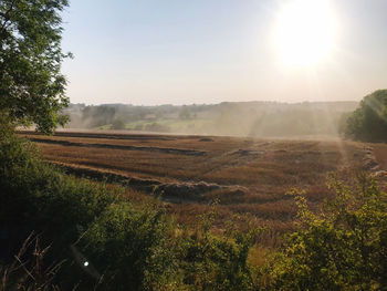 Scenic view of field against sky