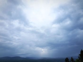 Scenic view of tree against sky