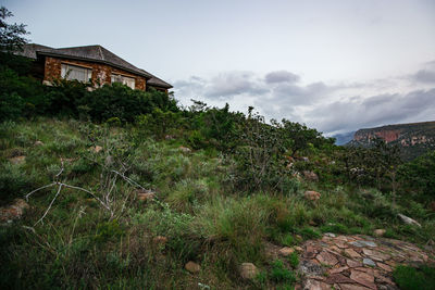 Scenic view of trees and houses against sky