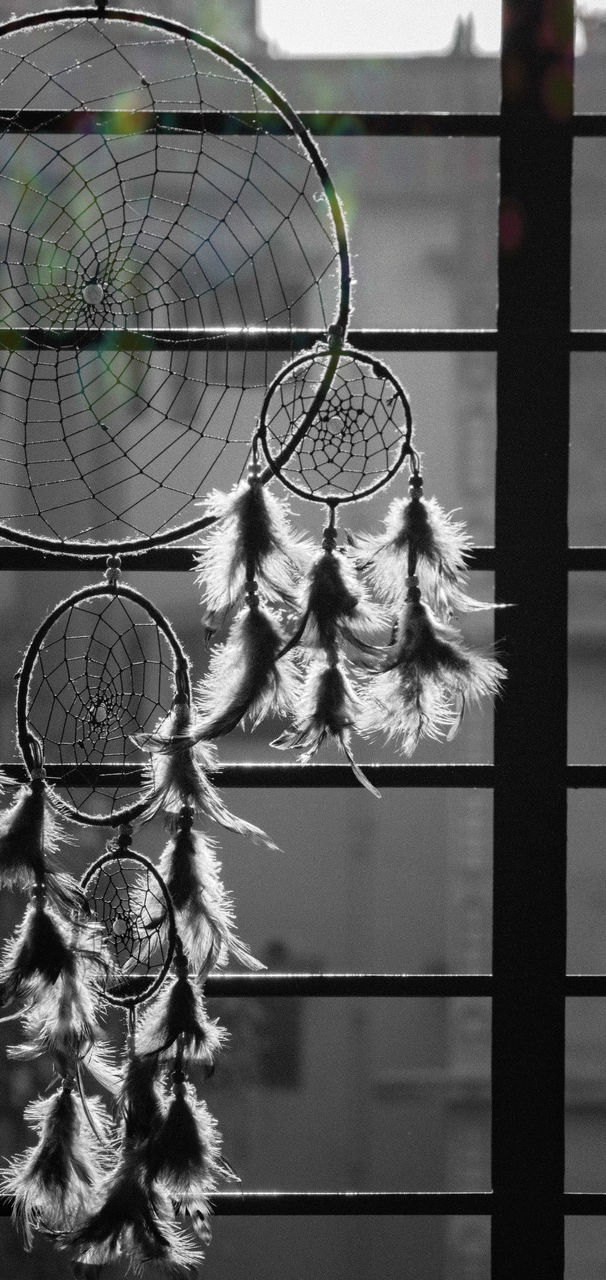 CLOSE-UP OF FEATHER