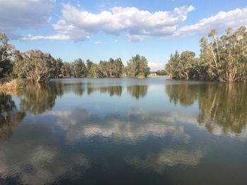 Reflection of trees in water