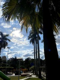 Palm trees by street in city against sky