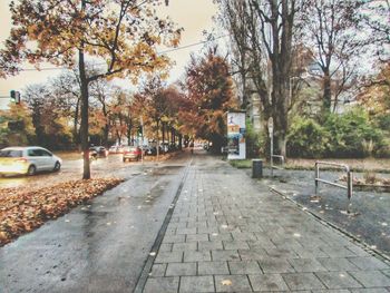 Road amidst autumn trees against sky