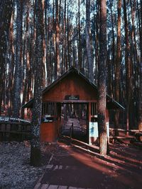 Old wooden house amidst trees in forest