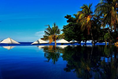 Scenic view of sea against clear blue sky