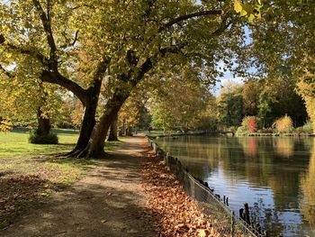 Footpath by lake in park during autumn