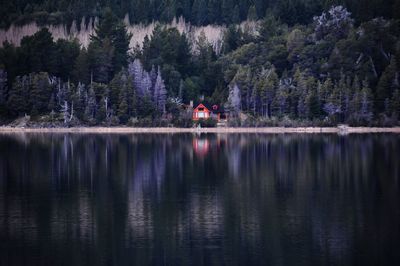 Scenic view of lake in forest