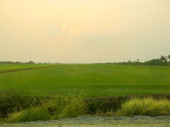 Scenic view of field against sky