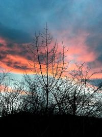 Low angle view of silhouette bare trees against sky during sunset