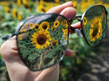 Close-up of hand holding sunglasses with reflection