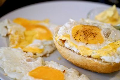 Close-up of breakfast served in plate