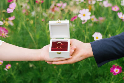 Wedding rings in a box on the palms of the bride and groom on a background of flowers