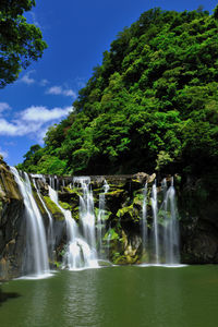 Scenic view of waterfall in forest