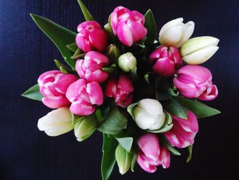 Close-up of pink rose flowers in vase