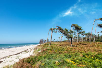 Scenic view of sea against blue sky