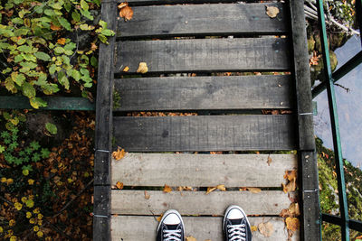 Low section of person standing on boardwalk during autumn