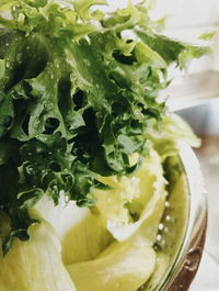 Close-up of salad in bowl