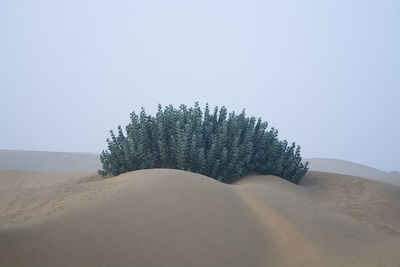 Scenic view of desert against clear sky