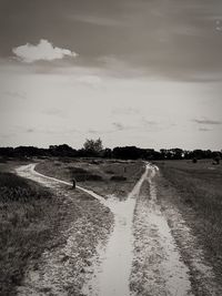 Road amidst landscape against sky