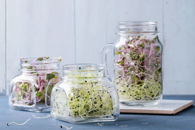 Close-up of bean sprouts in jar on table against wall