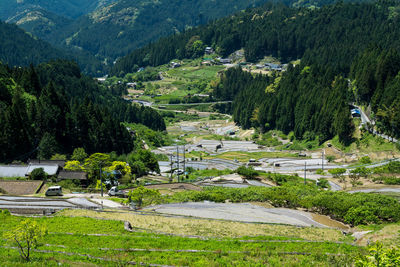 High angle view of trees